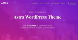 Astra WordPress Theme 4.6.11