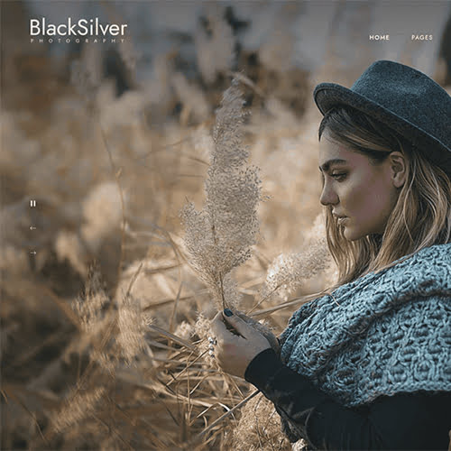 Blacksilver Photography Theme for WordPress 9.1