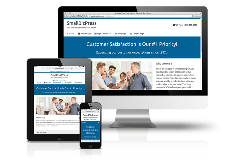 COBALTAPPS SMALLBIZPRESS SKIN FOR DYNAMIK WEBSITE BUILDER 1.0