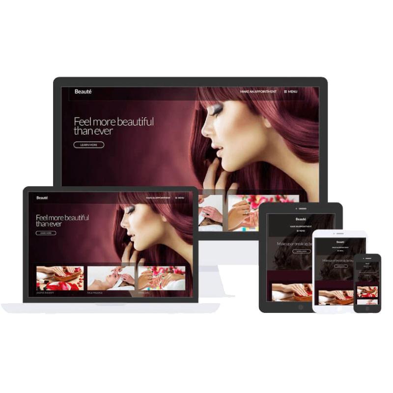 CSS IGNITER BEAUTE WORDPRESS THEME 2.0.3