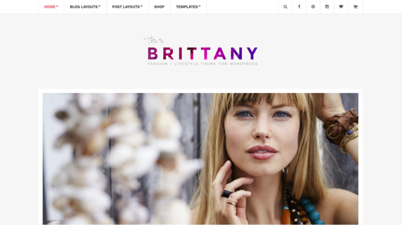 CSS IGNITER BRITTANY WORDPRESS THEME 2.2.0