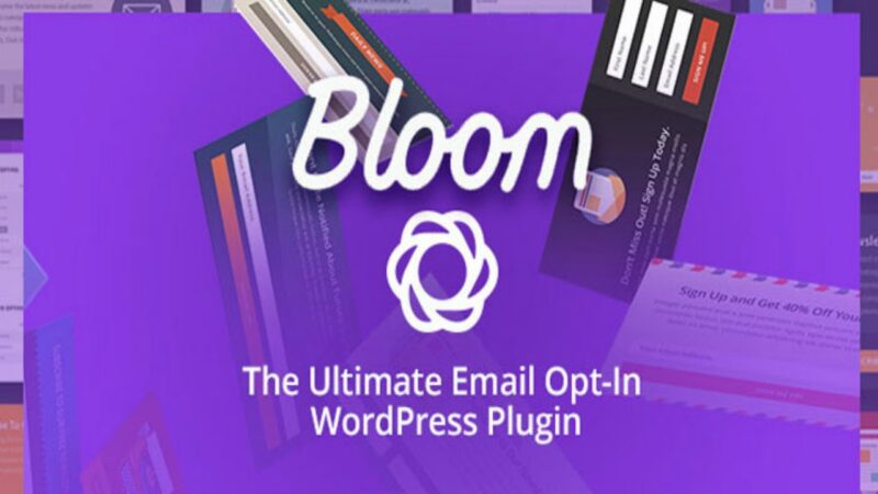 Elegant Themes Bloom 1.3.12