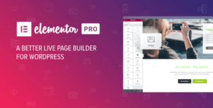 Elementor Pro WordPress Page Builder and Full Templates Kit 3.21.1