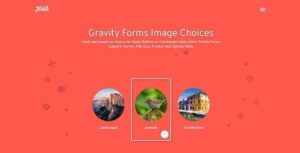 Gravity Forms Image Choices 1.4.21