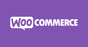 RESTRICT CONTENT PRO WOOCOMMERCE MEMBER DISCOUNTS ADDON 1.0.5