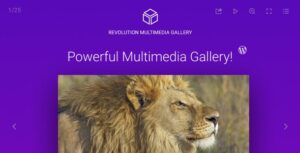 REVOLUTION MULTIMEDIA GALLERY WORDPRESS PLUGIN 2.0