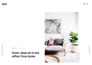 Themes Kingdom Ippo WordPress Theme 1.0.9