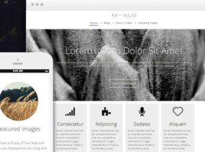 Thrive Themes Minus WordPress Theme 2.3.1