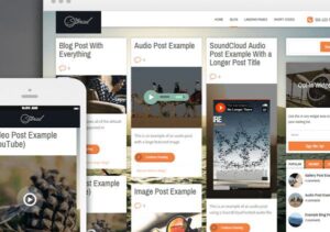 Thrive Themes Storied WordPress Theme 2.3.1