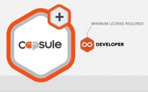 Rocket Genius Gravity Forms Capsule CRM Addon 1.7.0