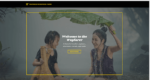 Theme Junkie – Wayfarer 1.0.2