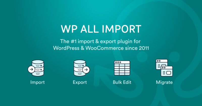 WP All Export – WooCommerce Export Add-On Pro 1.0.10