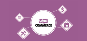 WooCommerce Software Addon 1.9.0