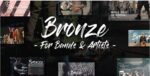 Bronze – A Professional Music WordPress Theme 1.0.0