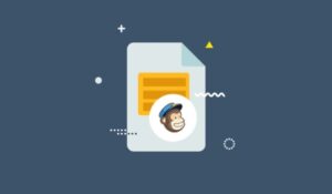 Everest Forms – Mailchimp 1.1.2