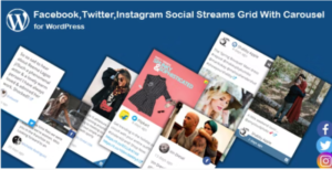 Facebook,Twitter,Instagram Social Stream Grid With Carousel for WordPress 2.0