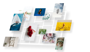 Photo Gallery Google Photos Integration 1.0.9