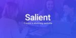 Salient 16.1.0