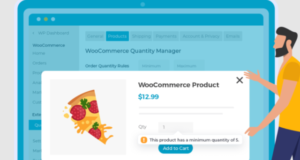 WOOCOMMERCE QUANTITY MANAGER 2.2.3