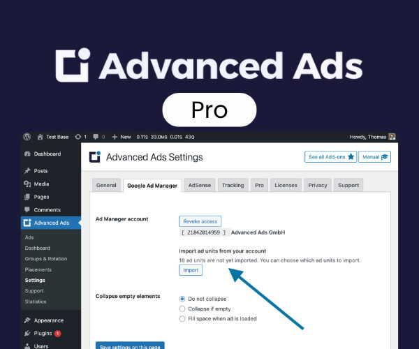 Advanced Ads Pro Activated 3.0.8