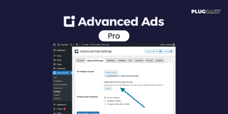 Advanced Ads Pro Activated 3.0.8