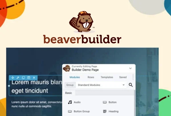 Beaver Builder Professional WordPress Pro Plugin 2.10.0.5