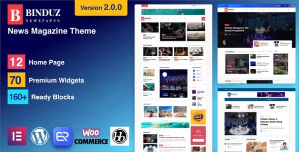Binduz Theme - Blog Magazine Newspaper Theme 2.7.0