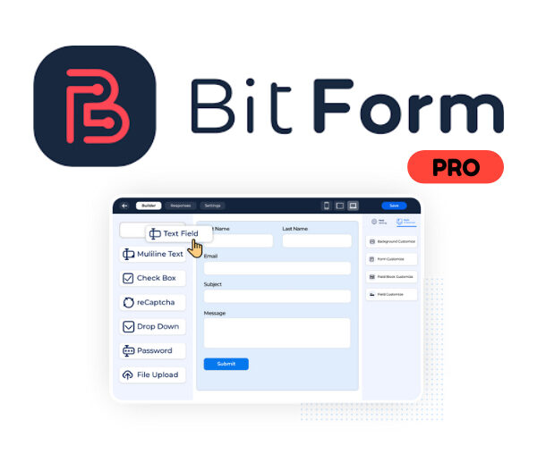 Bit Form Pro 2.13.7