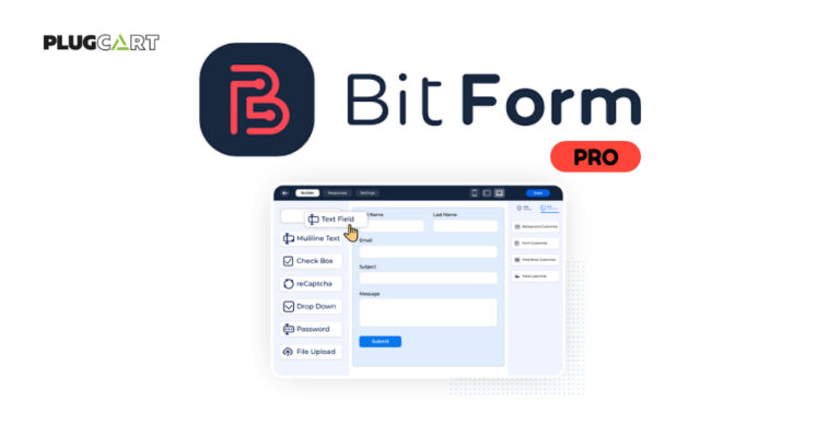 Bit Form Pro 2.13.7