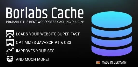 Borlabs Cache: WordPress Caching Plugin 3.1.1