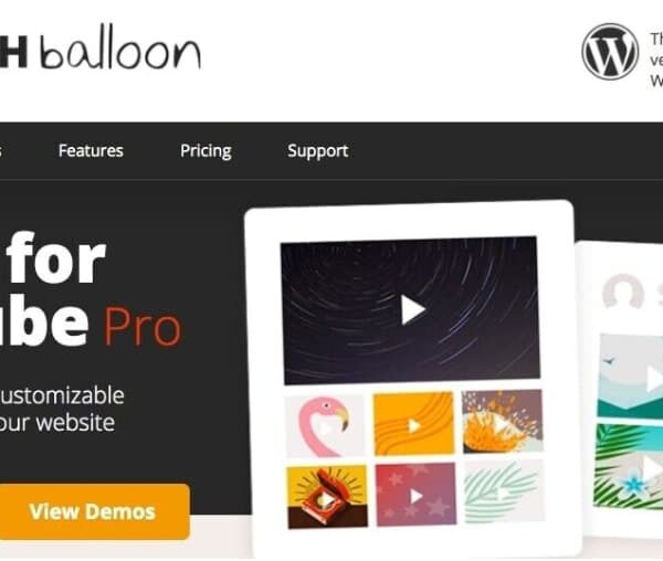 Feeds for YouTube Pro – By Smash Balloon 2.6.1