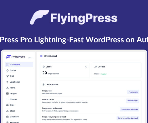 FlyingPress Pro – Lightning-Fast WordPress on Autopilot 5.3.1
