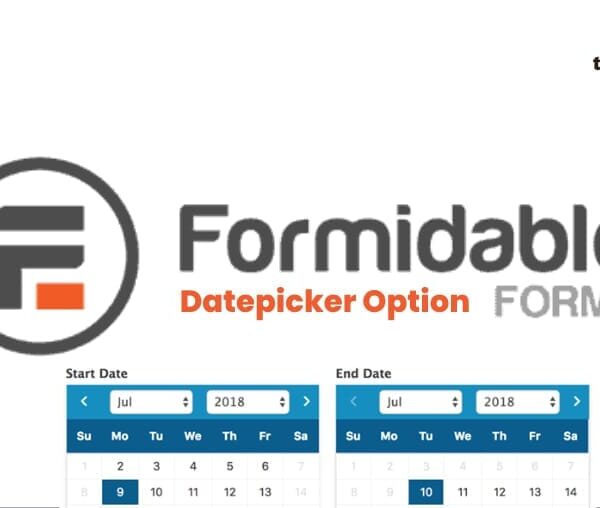 Formidable Datepicker Options 3.0