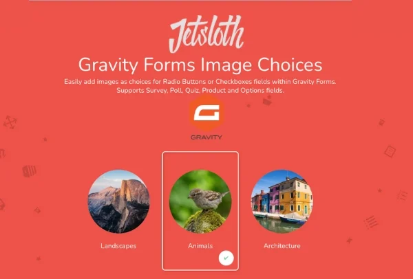 Jetsloth Gravity Forms Image Choices 1.6.16