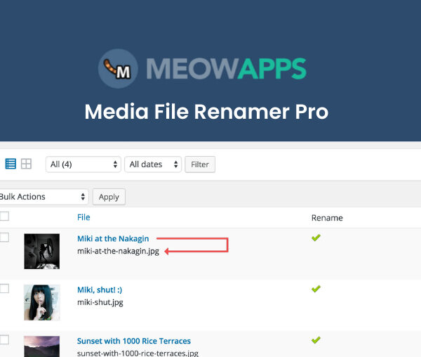 Media File Renamer Pro 6.1.9