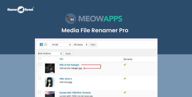 Media File Renamer Pro 6.1.9
