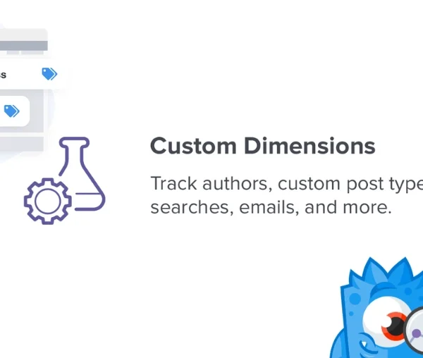 MonsterInsights Custom Dimensions Addon 2.2.1