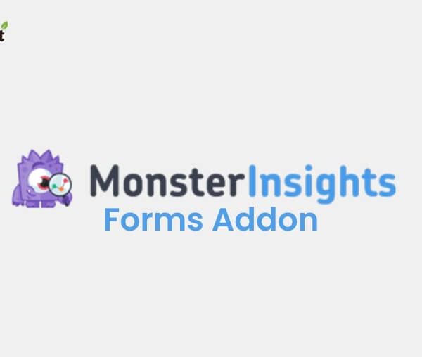 MonsterInsights Forms Addon 2.3.4