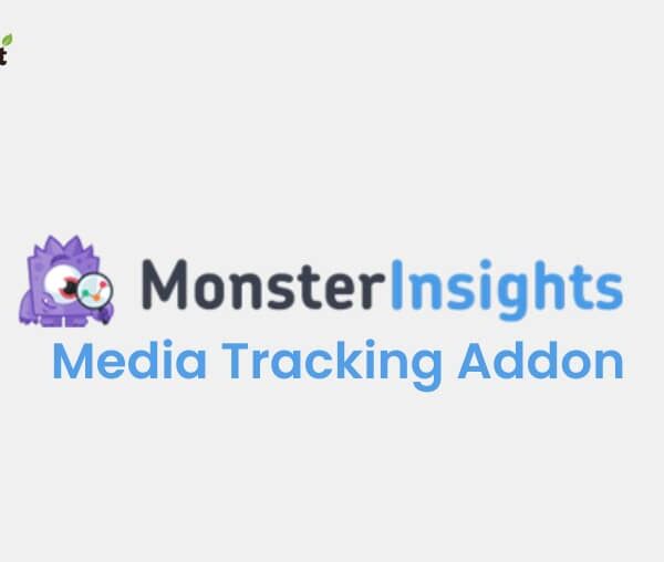 MonsterInsights Media Tracking Addon 1.1.3
