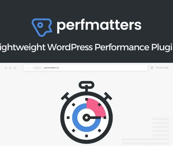 Perfmatters WordPress Performance Plugin 2.5.5