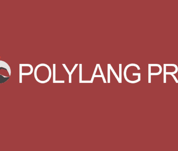 Polylang Pro 3.7.6