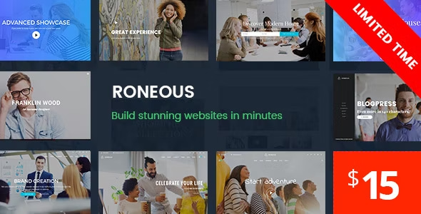 Roneous Theme- Creative Multi-Purpose WordPress Theme 2.1.7