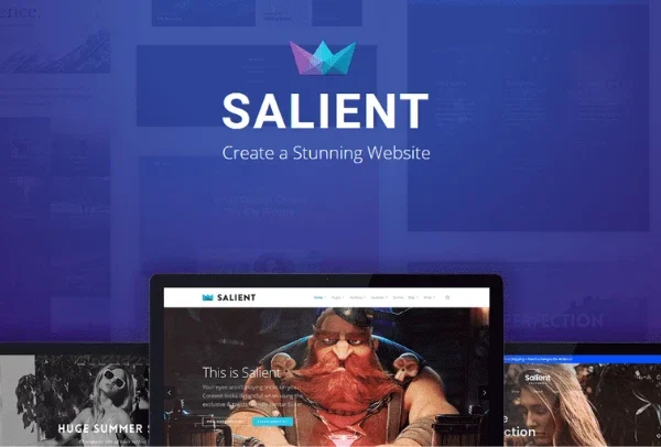 Salient Theme Creative Multipurpose & WooCommerce Theme 18.0.2