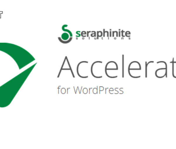 Seraphinite Accelerator 2.28.7