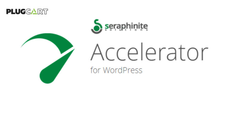 Seraphinite Accelerator 2.28.7