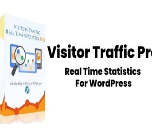 Visitor Traffic Real Time Statistics Pro 11.4
