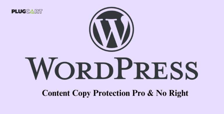 WP Content Copy Protection Pro & No Right Click 17.0