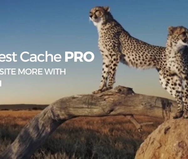 WP Fastest Cache Premium WordPress Plugin 1.7.6