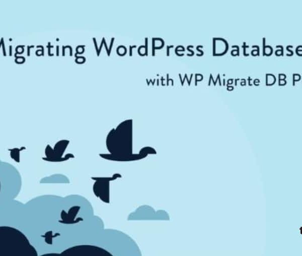 WP Migrate DB Pro – WordPress Site Migration Plugin 2.7.7