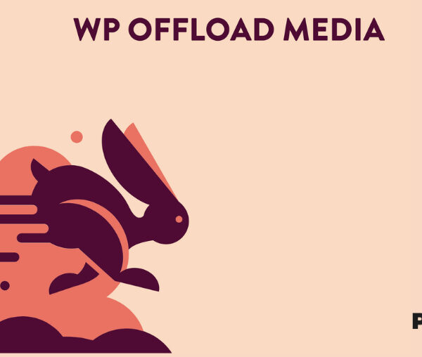WP Offload Media + Asset Pull – WordPress Media to Amazon S3 3.2.12